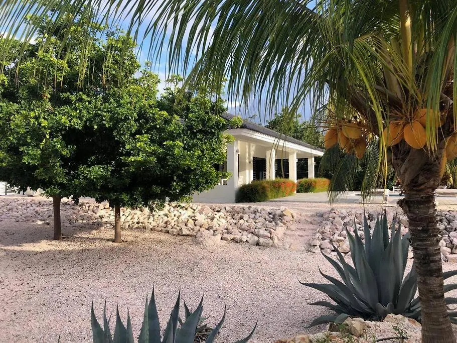 Luxe Villa Op Coral Estate 1 Min Lopen Van Zee Willibrordus