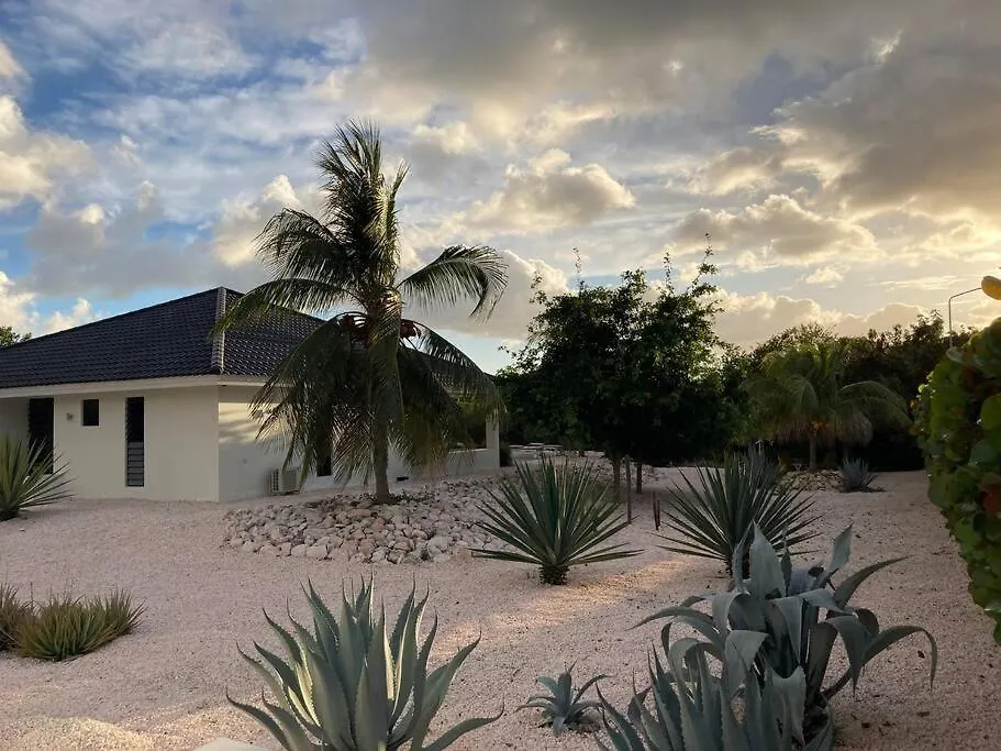 Luxe Villa Op Coral Estate 1 Min Lopen Van Zee Willibrordus