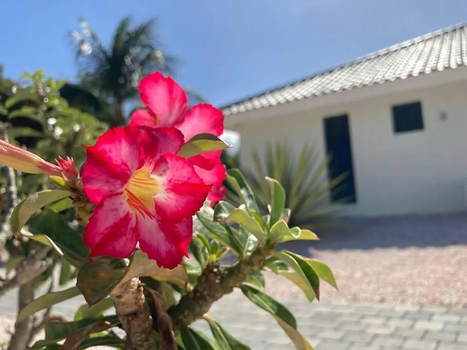 Luxe Villa Op Coral Estate 1 Min Lopen Van Zee Willibrordus Curaçao