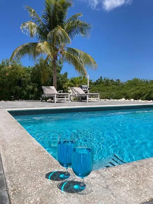 Luxe Villa Op Coral Estate 1 Min Lopen Van Zee Willibrordus 0*,
